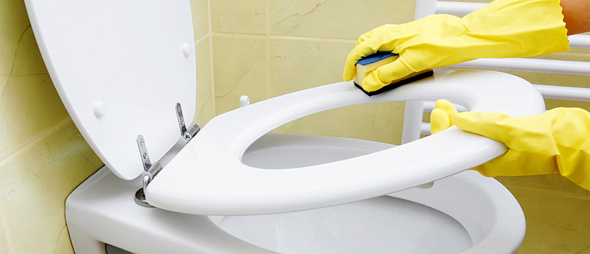 professional once off house cleaning in Carrickmines